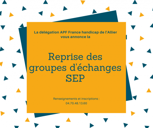 reprise groupe SEP.png